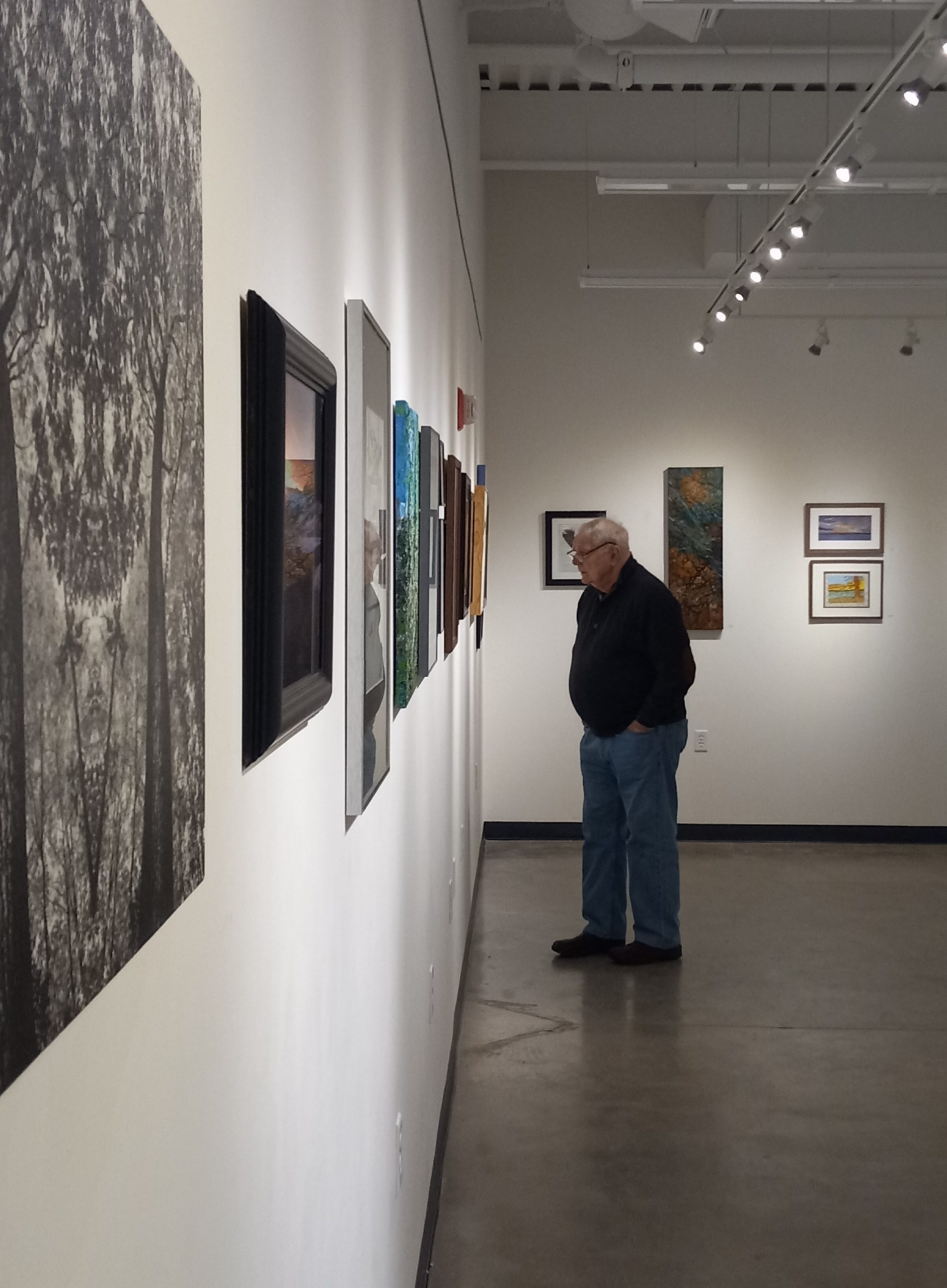 Awards and Photos from the LSAA Members Show