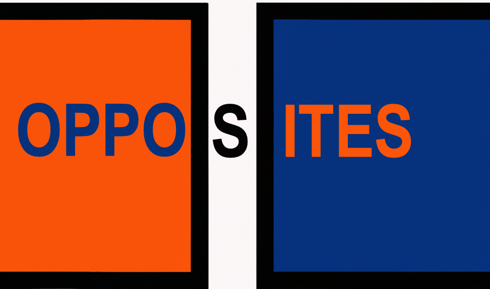 LSAA Challenge Exhibit: Opposites