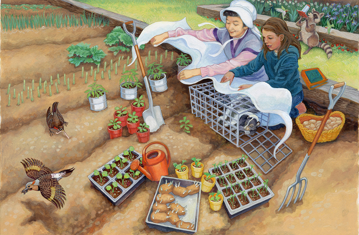 Art Talk: Diana Magnuson &The Process of Writing and Illustrating