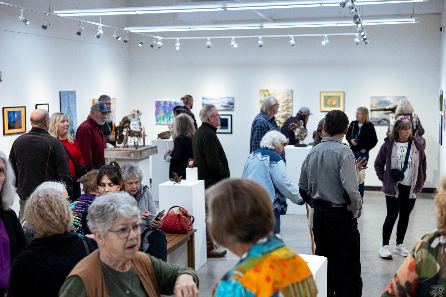 Call to Artists: Annual Member’s Exhibition