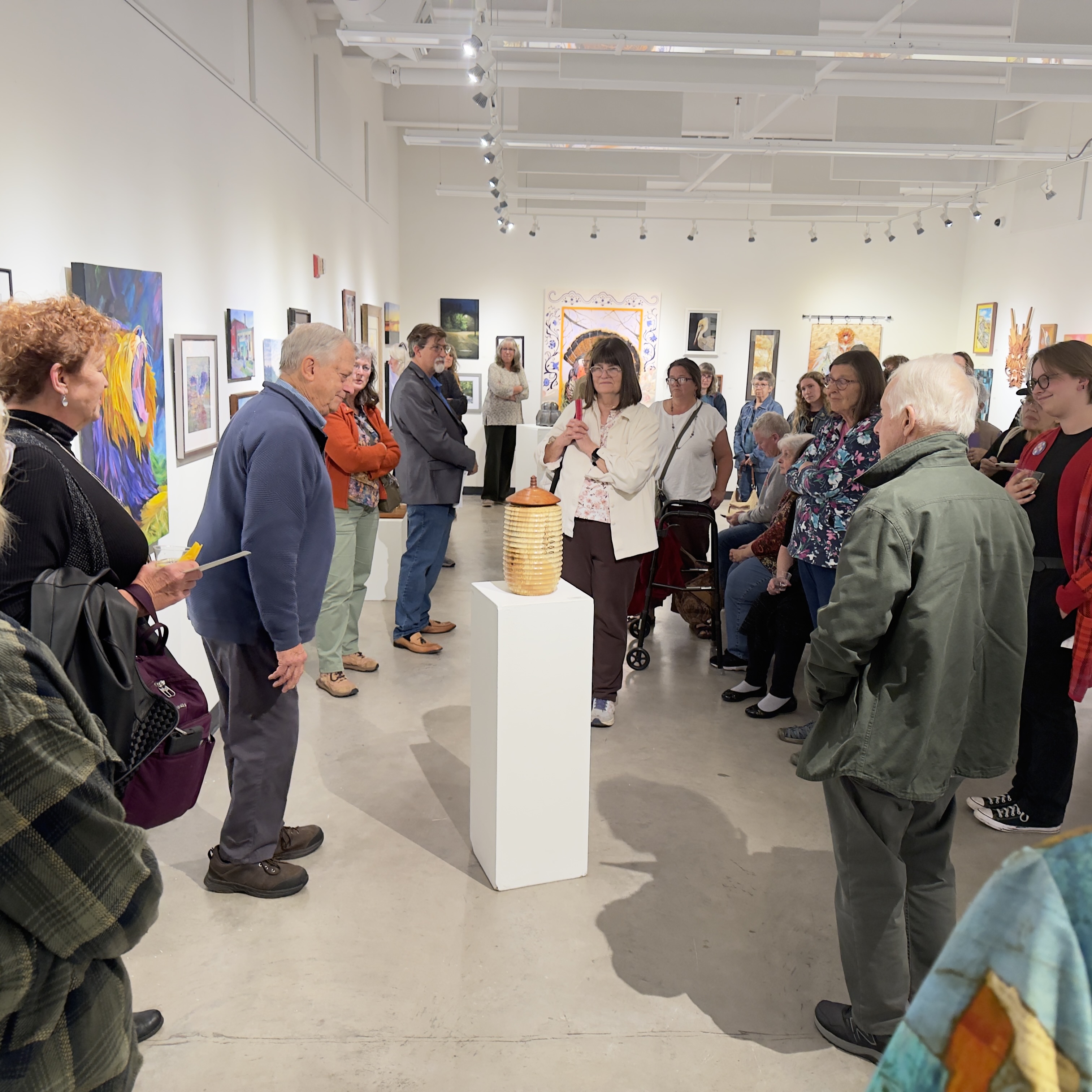 Members’ Exhibition is on Display